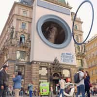 Moab Sneaker Spins in Washing Machine