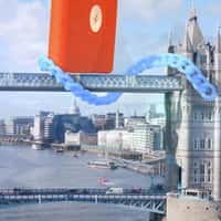 Mulberry Chain Links Crawl to Bag on Bridge