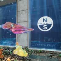 North Sails Store Turns into an Underwater Scene
