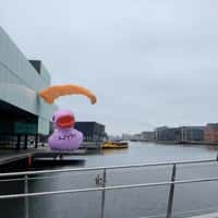 NYX Giant Pink Duck Floats Across Copenhagen Harbor