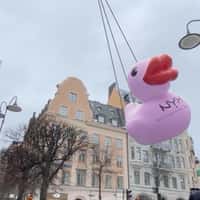 NYX Giant Pink Duck Dropped Off by Helicopter in Stockholm Streets