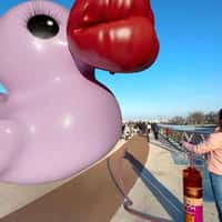 NYX Giant Pink Duck Inflated at Kyiv Waterfront