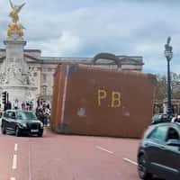 Paddington Giant Suitcase Appears at Buckingham Palace
