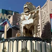 Palm Tree Beach Club Medallion Worn by MGM Grand Lion