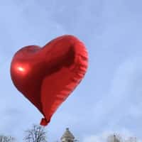 Michel Polnareff Heart Balloon on Sacré-Cœur