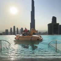 Porsche-Camel Hybrid Takes a Dip in Dubai