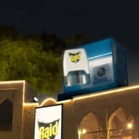 Raid Massive Electric Plug at Al Azhar Park