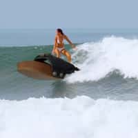 RE/DONE Woman Surfs on Giant Sandal