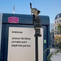 Samsung Vacuum Cleanup Sidewalk