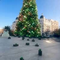 Samsung Products Land Before Giant Christmas Tree