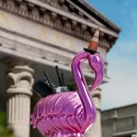 Slug & Lettuce Flamingo Replaces Duke of Wellington