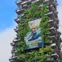 Sony Pictures Paddington in Peru Poster Springing to Life