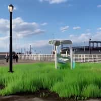 Ground Turns into Green Field in NYC