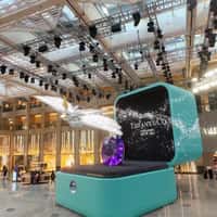 LANDMARK Diamond Bird Emerge from Jewelry Box 