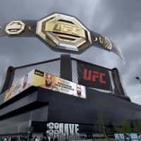 UFC Giant Championship Belt Over Co-op Live