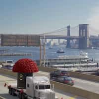 Venus et Fleur Giant Rose Dome Travels NYC