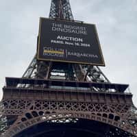 Collin du Bocage Dinosaur Skeleton Vulcain Display