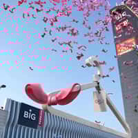 or lu sense Giant Hanger Covered in Pink Bows