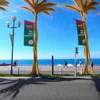 Panzani Giant Wheat Stalks Rise Over Nice Promenade