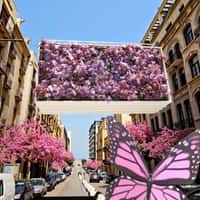 Persil Giant Bottle Blooms Above Street