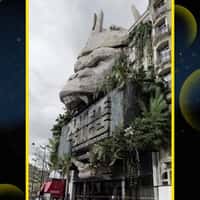 Disney Massive Stone Ape Head in Cinema Facade