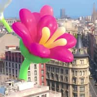 Pull&Bear Flower Blooming Flower Balloons in Barcelona