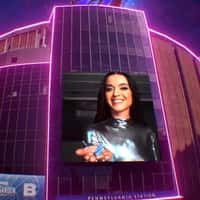 Madison Square Garden Butterfly Perches on Arena