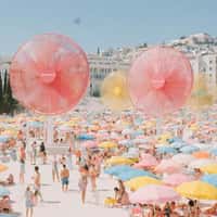 Morris Fans Towering at the Beach