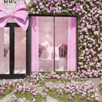 VS PINK Ribbon Butterfly Perches at Store