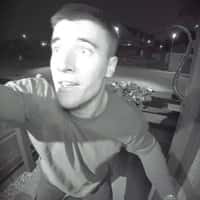 Disney Plus Alien Chases Humans