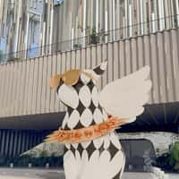 El Club Winged Cat Sculpture Descends on Building