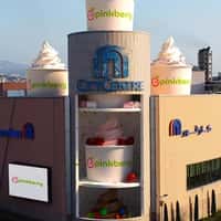 Pinkberry Ice Cream Cup on Flamingo Floater