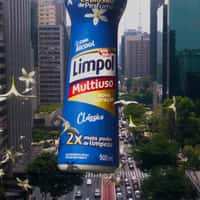 Bombril Multipurpose Cleaner Sprouts Flowers