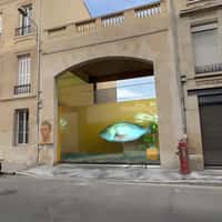 Lenovo Laptop Orange Transformation in the Street