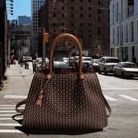 Chenson Bag Crosses the Street