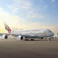 Emirates Skywards Plane Transforms for Its 25 Years