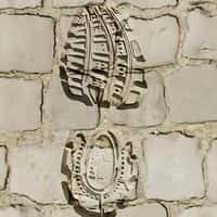 Lacoste Sneaker Footsteps Engraved in Paris