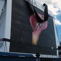 Aritzia Giant Shopping Bag at Miami Waterfront