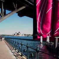Sydney Sixers Giant Jersey Over Harbour Bridge