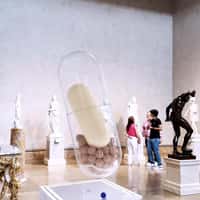 Ritual Massive Capsule at Metropolitan Museum