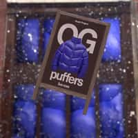 Nude Project Giant Puffer Breaks Storefront Glass