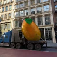 Mango Giant Glittering Mango Sculpture Rolls Through Soho