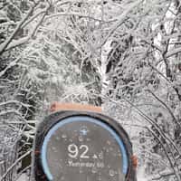 Samsung Smartwatches Glide Through Snow