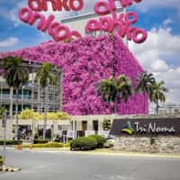 Anko TriNoma Rooftop Opens Releasing anko Logo