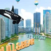 Pull&Bear x Nautica Floating Whale in Miami