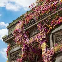 Banque Populaire Arc de Triomphe in Bloom