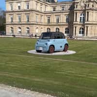 Citroën Flowers Bloom at Luxembourg Palace