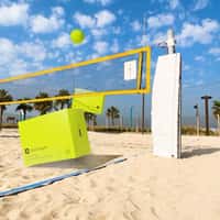Gold Apple Giant Boxes Play Beach Volleyball