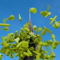 Gold Apple Giant Box Burst in A-Tower