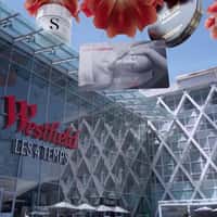 Nocibé Giant Flowers at Westfield Les 4 Temps